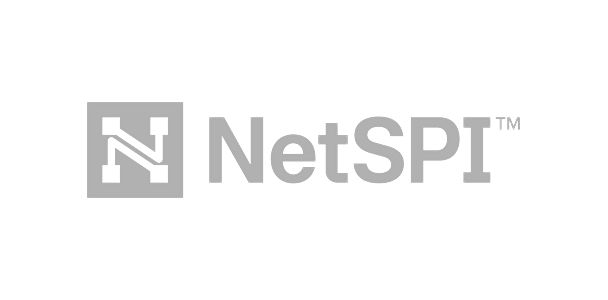 NetSPI-logo-grey-transparent-608x300